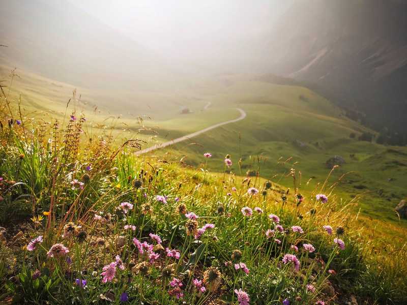 Paysage du Queyras lors d'une randonnée © Vigneron Perrine