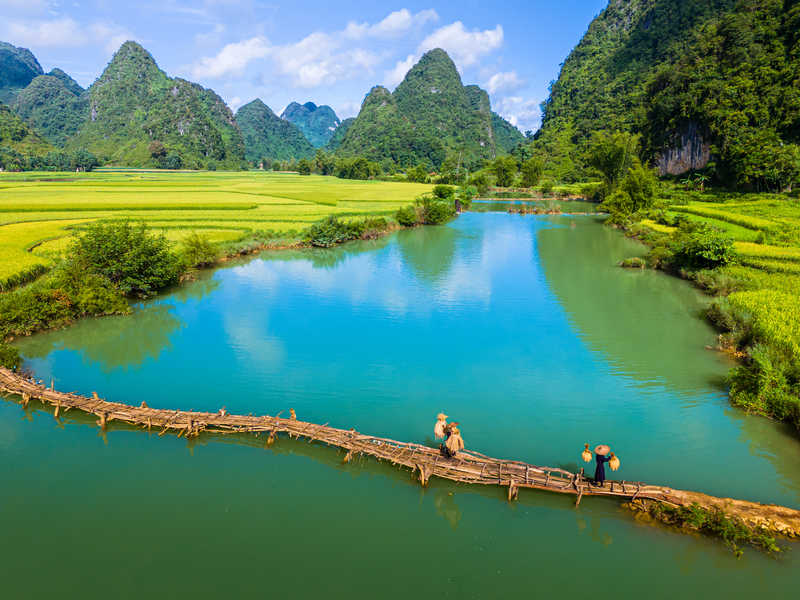 Province de Cao Bang et ses rizières verdoyantes, Vietnam