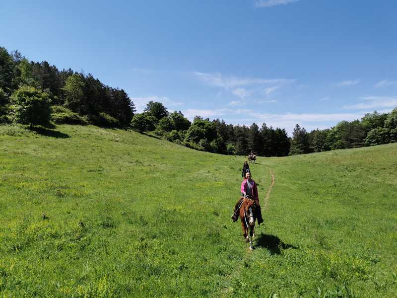 Randonnée à cheval découverte dans les forêts de Toscane © Caval&go
