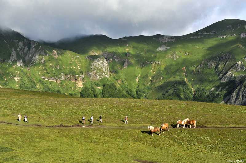 Randonnée bien être et yoga en Auvergne © Zen&go