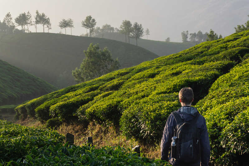 Randonneur dans la région de Kerala, Inde