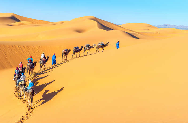 © Intrepid Travel