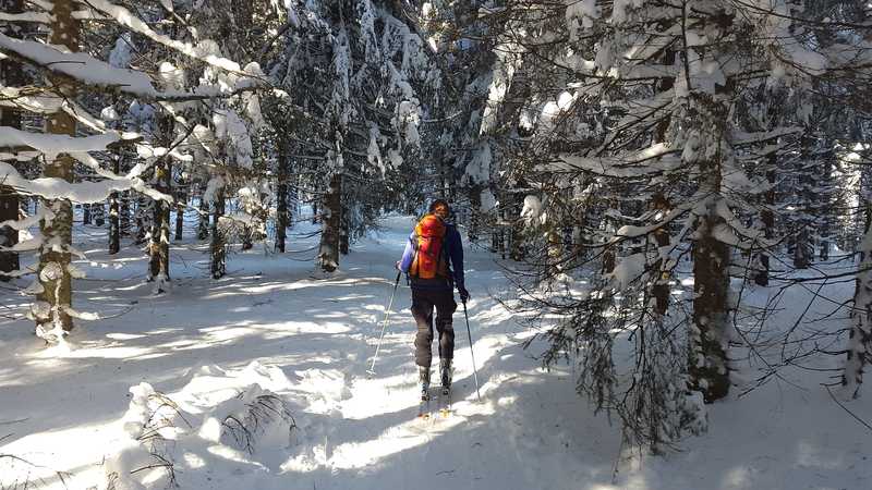 ski de rando dans la forêt @simon pixabay © Simon