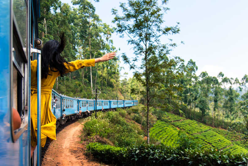 Touriste profitant d'un voyage en train dans les plantations de thé du Sri Lanka