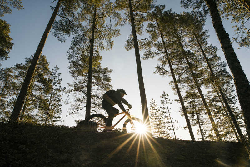 VTT en Finlande l'été © Mäkinen Eeva