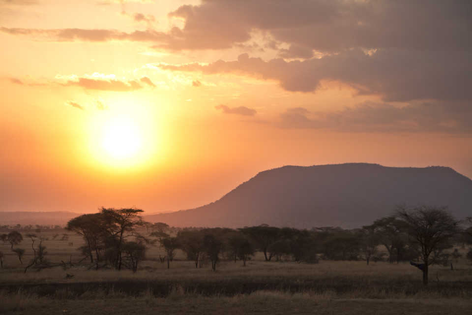 Coucher de soleil dans la parc national du Serengeti