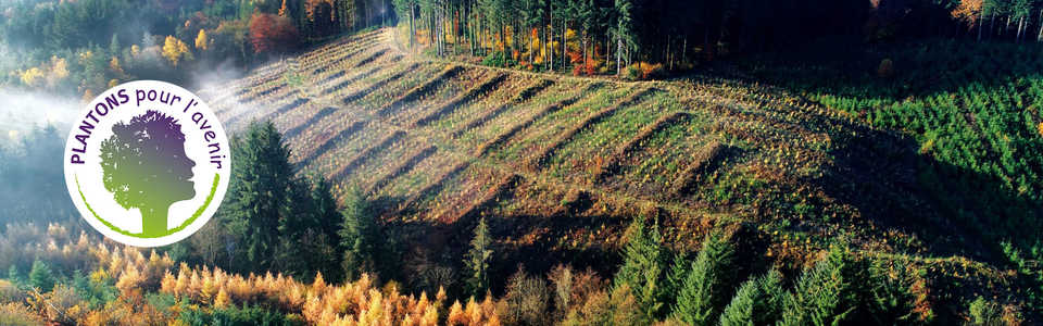 Projet de reforestation avec Plantons pour l'avenir - © Plantons Pour L'avenir Projet de reforestation avec Plantons pour l'avenir