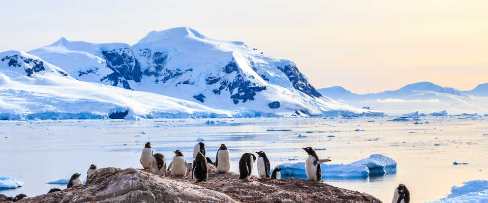 Voyage en Antarctique